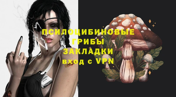 гидропоника Иннополис