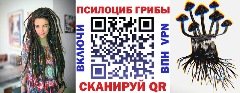 Галлюциногенные грибы Psilocybe  цена наркотик  Киренск 